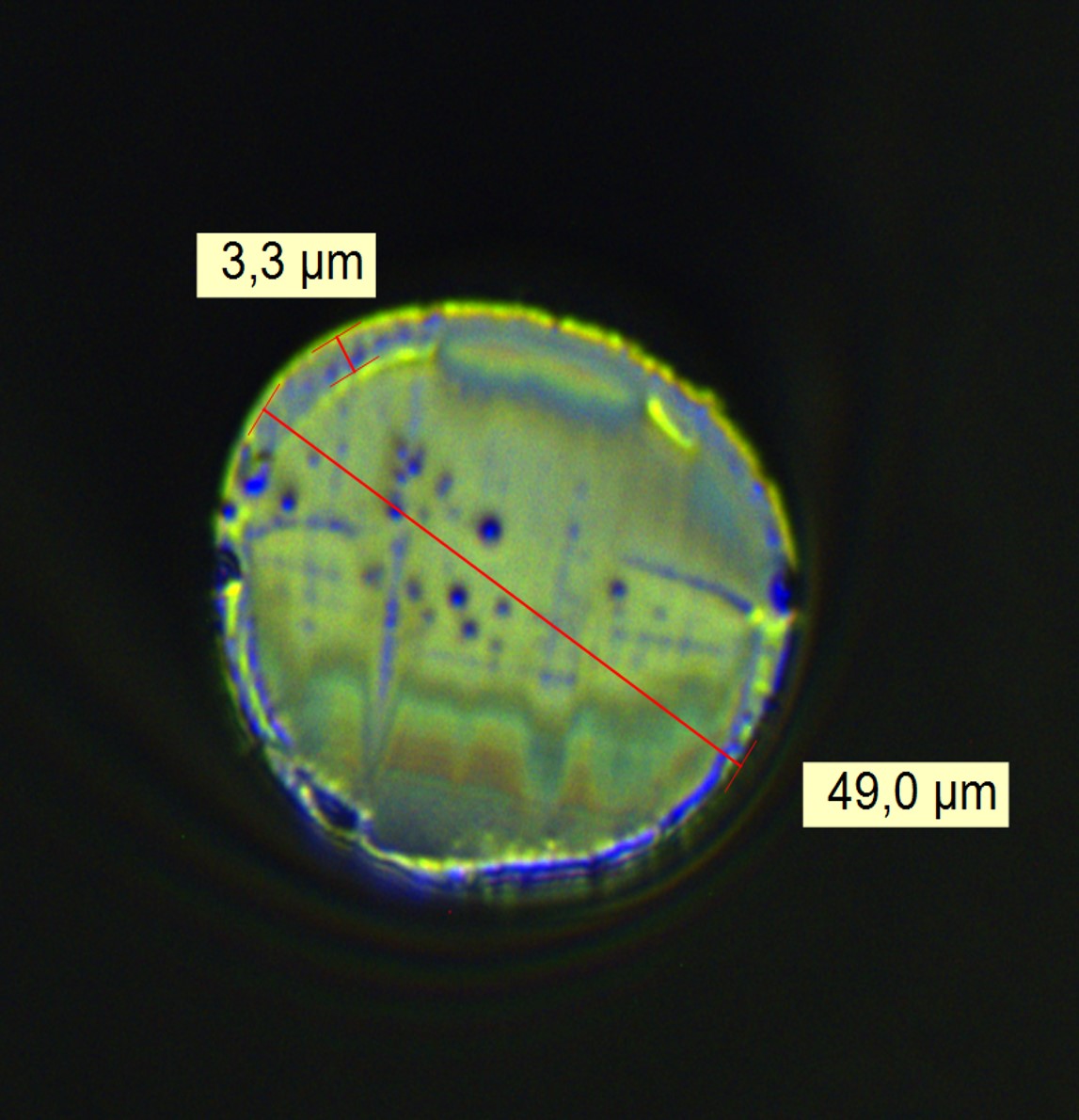 Polymer optical fiber cross-section at microscopic scale
